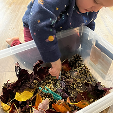 Fall sensory box