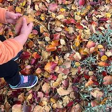 Fall Activities: Scavenger Hunt!