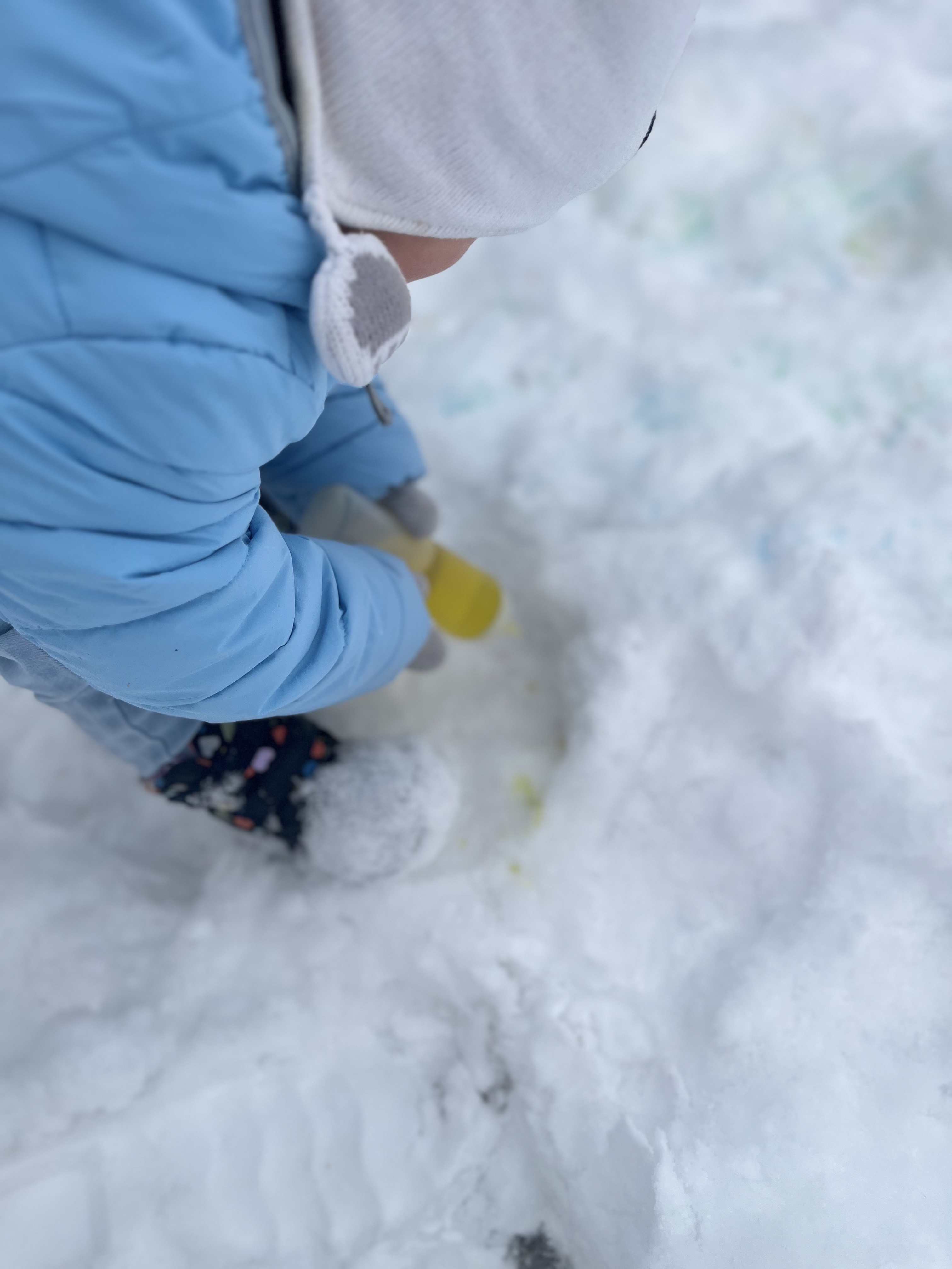 snow day activities: paint snow