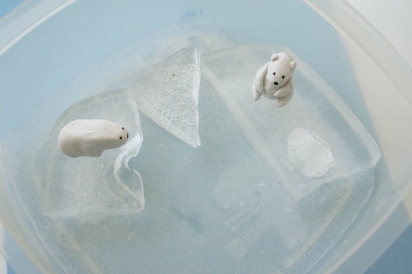 Picture from https://www.kitchencounterchronicle.com/polar-bear-activity-melting-sea-ice/