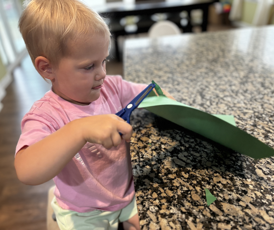 Cutting fine motor skills activity